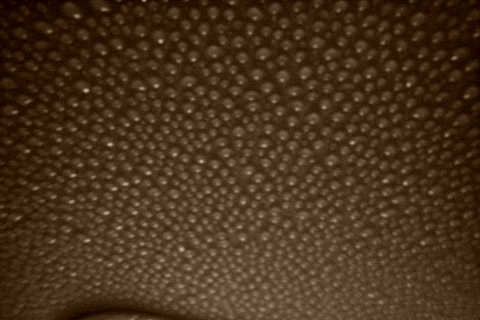 VD3C7926-t VD3C7926-t