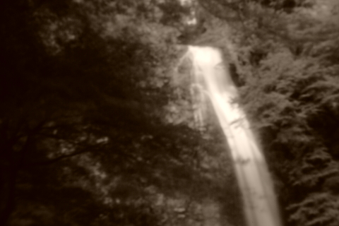 VD3C8182-t VD3C8182-t